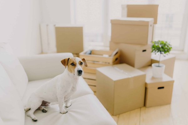 How Can Textile Design in Hospital Attire Reduce Patient Stress and Improve Comfort?