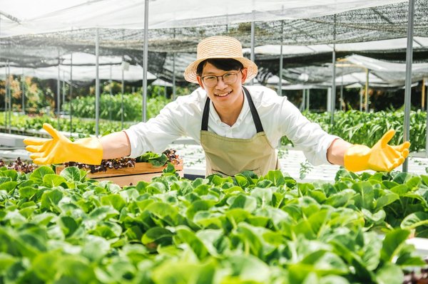 How Can IoT-Based Precision Agriculture Promote Sustainable Farming Practices?